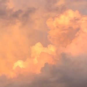 Meet your Posher, Avi